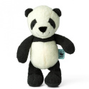 WWF Cub Club Pandan Panu