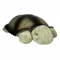 Cloud B Nattlampe Twilight Turtle Mocha