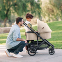 UPPABaby CRUZ V2 Duovogn Liam