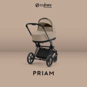 Cybex Priam Inkl. Aton B2 Babybilstol og Base